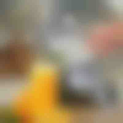 Manuálny odšťavovač ovocia | JUVOPRESS