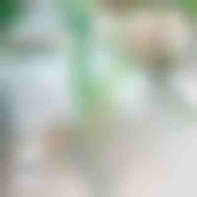 Zastavovač pádu rastlín | ROOTZI