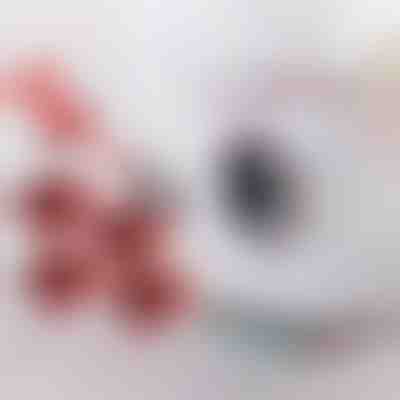 Súprava na sťahovanie nábytku so 4 posuvníkmi a zdvihákom | LIFTROLLERS