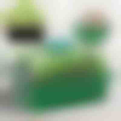 Miska na pestovanie sadeníc s priehradkami | PLANTURKA